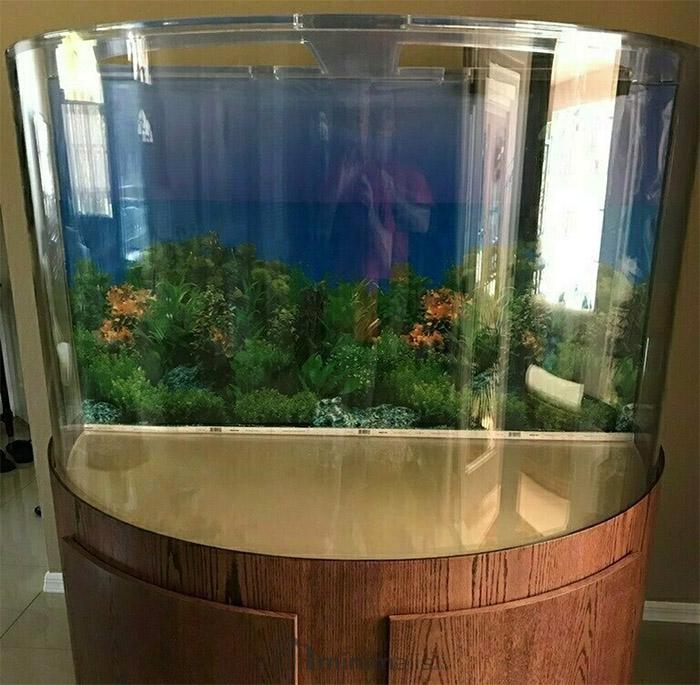 aquarium akrilik