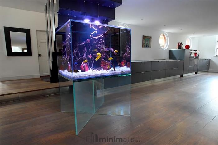 aquarium minimalis modern
