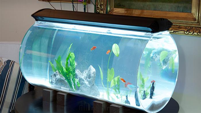 aquarium minimalis unik