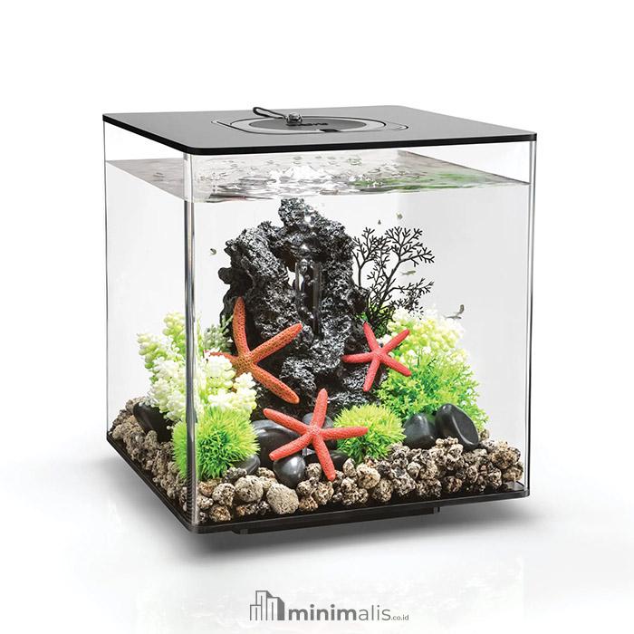 desain aquarium
