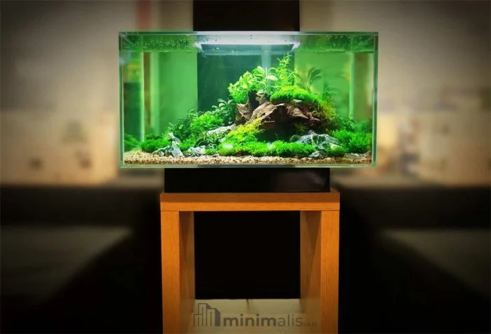 gambar meja aquarium